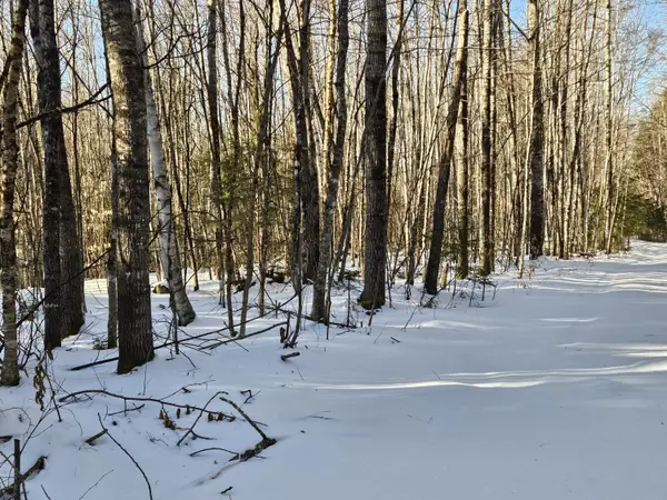 Brownville, ME 04414,Lot 32 Alder Hill RD