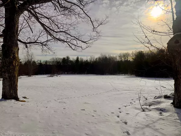 Parsonsfield, ME 04047,550 Maplewood RD