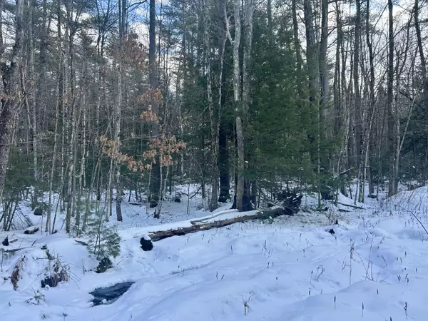 Parsonsfield, ME 04047,Lot 36 Wadleigh ST