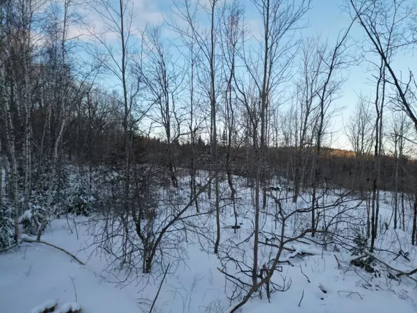 Carroll Plt, ME 04487,Lot 2S Danforth RD