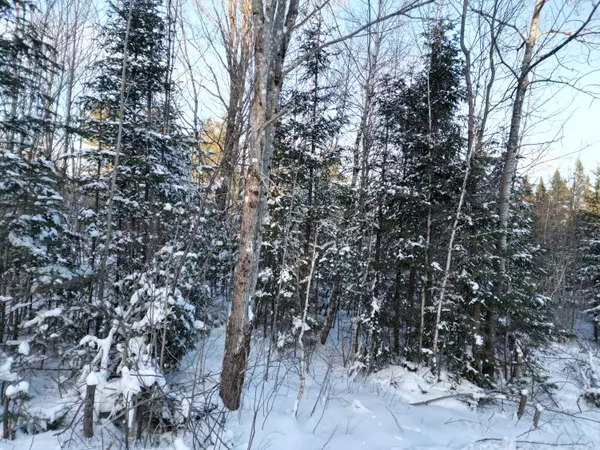 Carroll Plt, ME 04487,Lot 2N Danforth RD