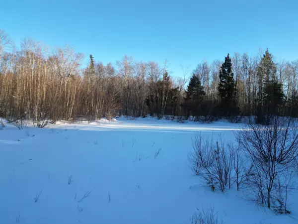 Lot 2N Danforth RD, Carroll Plt, ME 04487