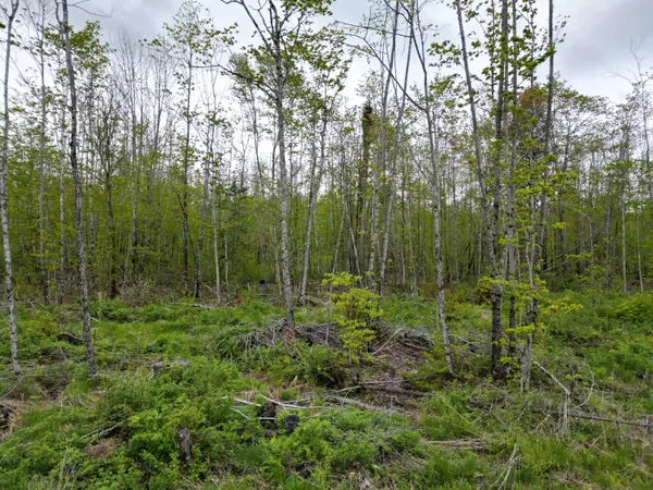 Prentiss Twp T7 R3 Nbpp, ME 04487,Lot 28 Rosewood HVN