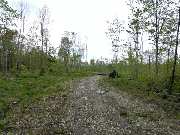 Prentiss Twp T7 R3 Nbpp, ME 04487,Lot 28 Rosewood HVN