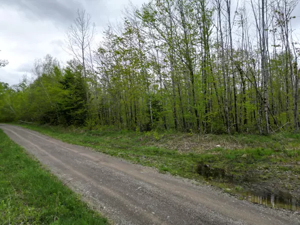 Prentiss Twp T7 R3 Nbpp, ME 04487,Lot 28 Rosewood HVN