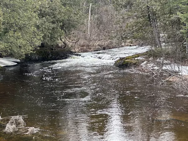 Cary Plt, ME 04730,0 Wilcox RD