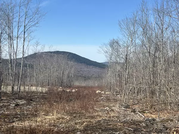 Orland, ME 04472,9 Grande View Road