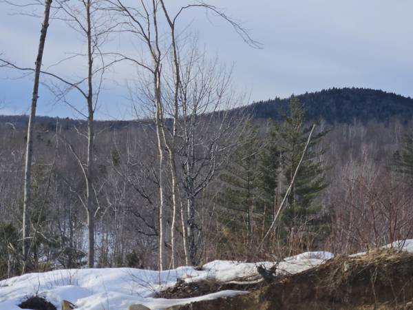 Lot #135 Pratt RD, Wilton, ME 04294