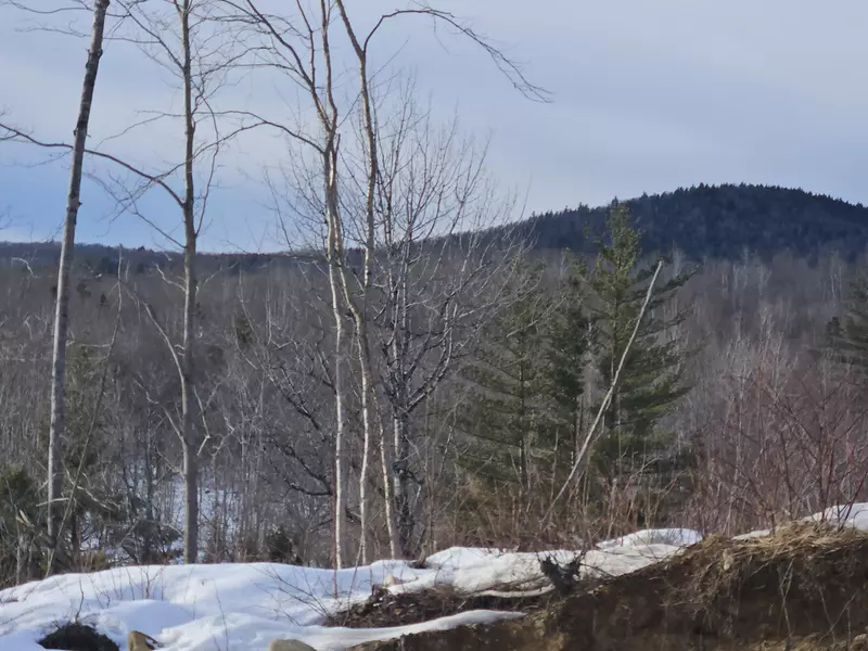 Lot #135 Pratt RD, Wilton, ME 04294