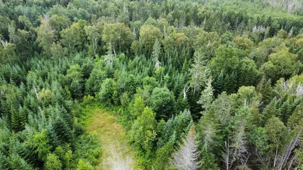 Dallas Plt, ME 04970,Map 4 Lot 31-26 Palmer WAY