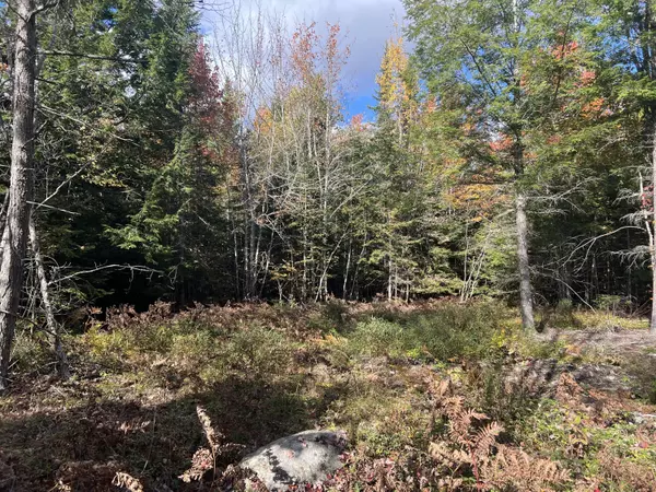 Waltham, ME 04605,Lot 136 White Tail RD