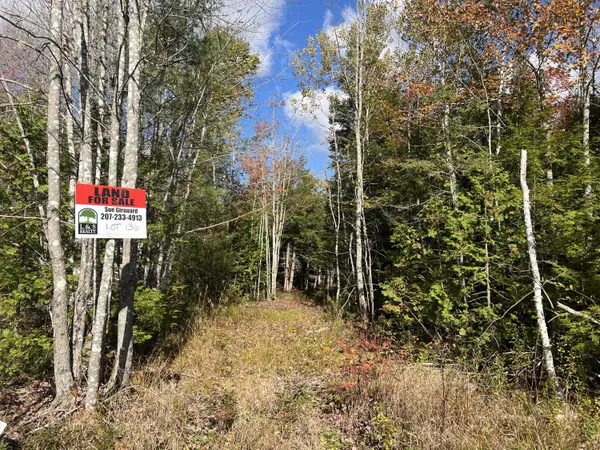 Waltham, ME 04605,Lot 136 White Tail RD