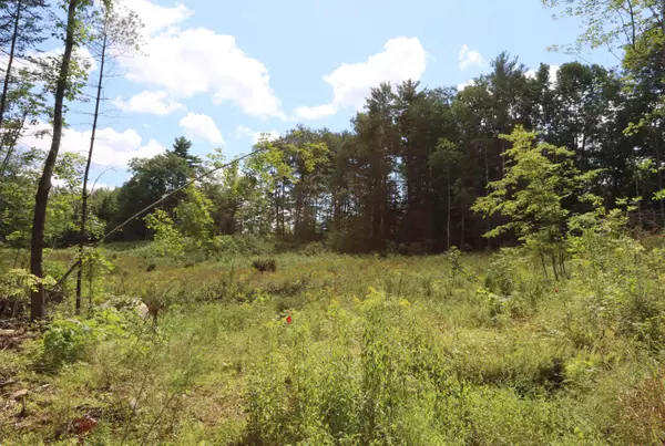 Greene, ME 04236,Lot 13-1 Wiley RD