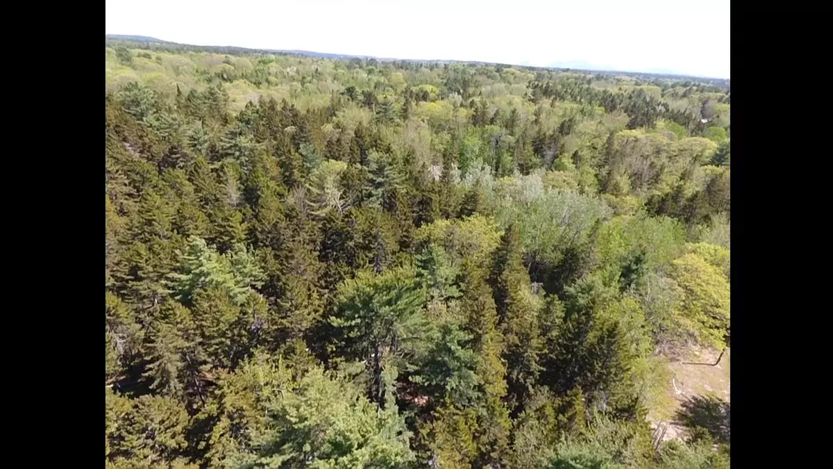 Sullivan, ME 04664,45 Higg ST