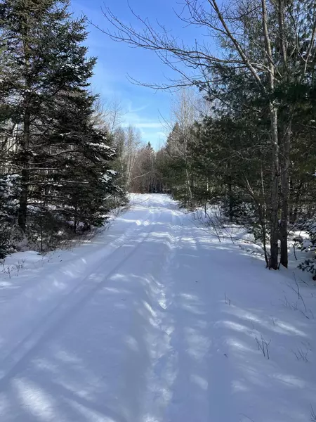 Lot 4 Scott BRK, Northfield, ME 04654