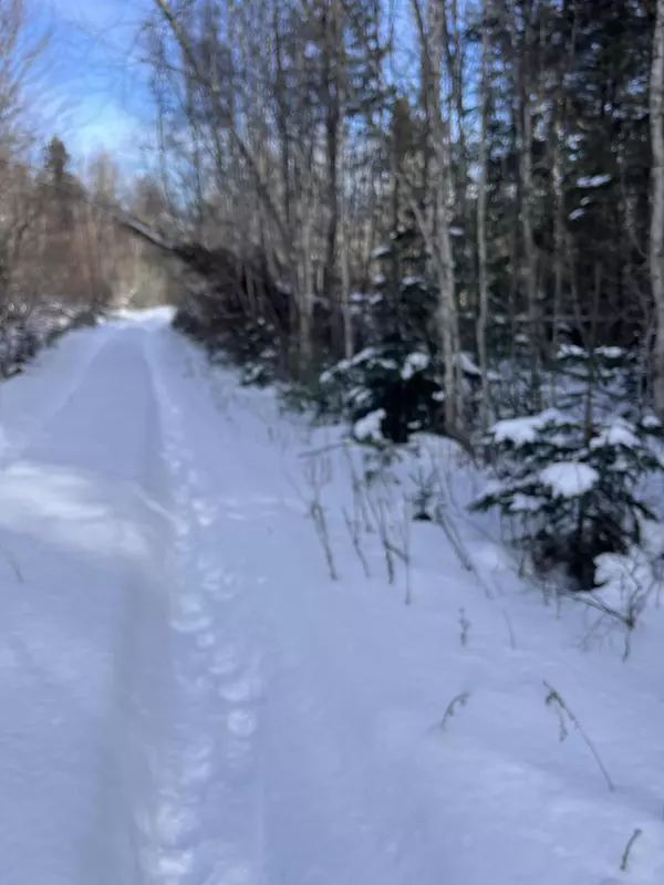 Northfield, ME 04654,Lot 4 Scott BRK