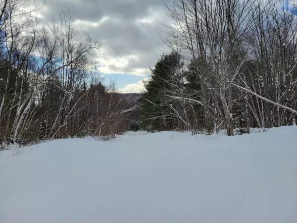 Albany Twp, ME 04217,L87.1 Songo Pond RD