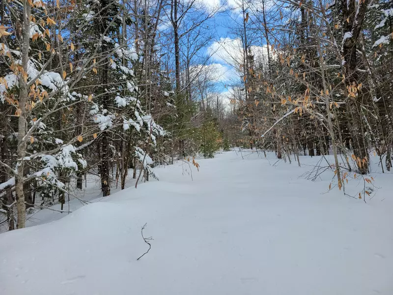 L87.1 Songo Pond RD, Albany Twp, ME 04217