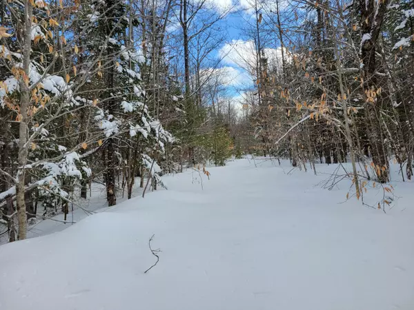 L87.1 Songo Pond RD, Albany Twp, ME 04217