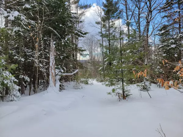 Albany Twp, ME 04217,L87.1 Songo Pond RD