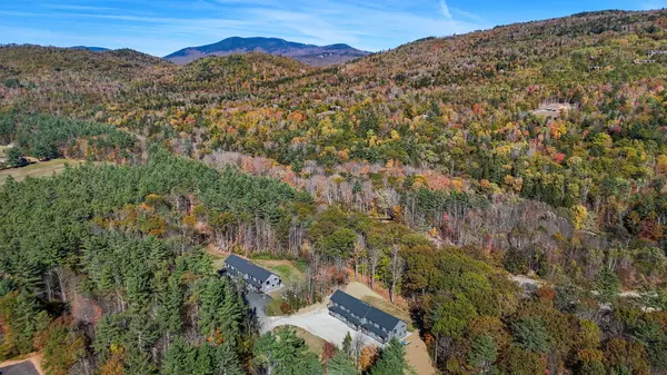 Newry, ME 04261,11 Lodgepole LN #11