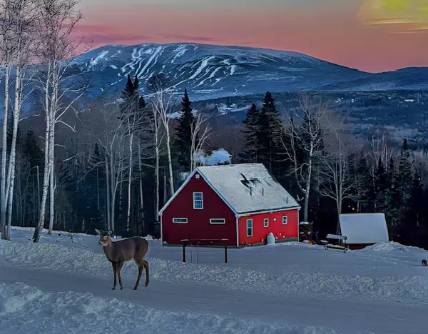 Rangeley, ME 04970,12 Johnson LN