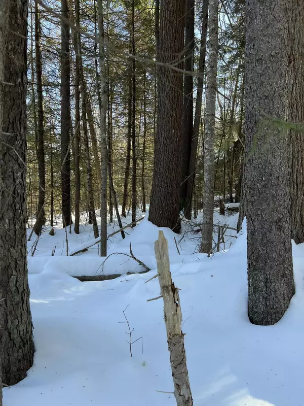 Stockton Springs, ME 04981,73 Ferry RD