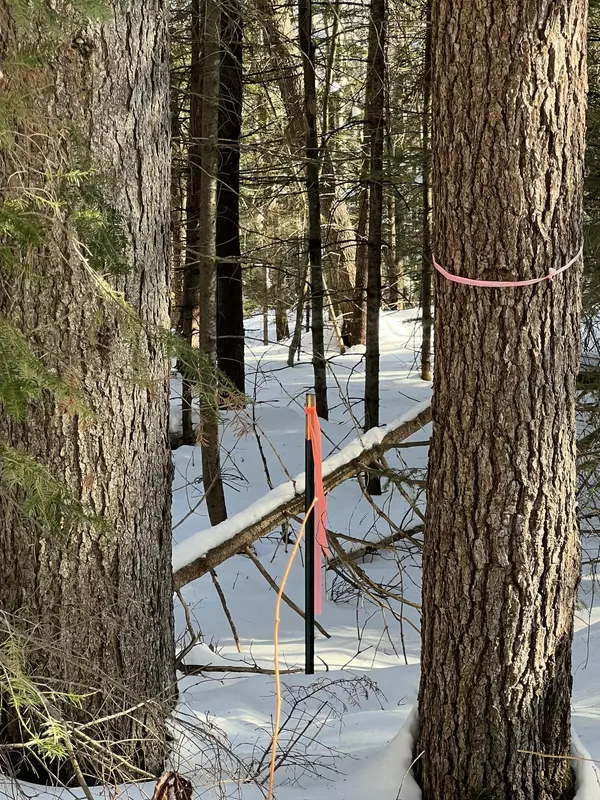 Stockton Springs, ME 04981,73 Ferry RD