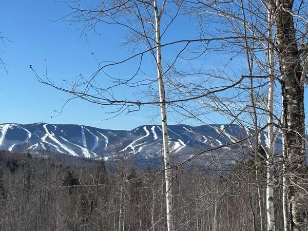 Newry, ME 04261,Lot 23.1 Glades View AVE