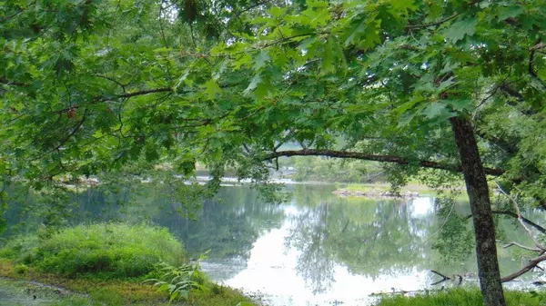 Lincoln, ME 04457,Lot 11 Easy ST