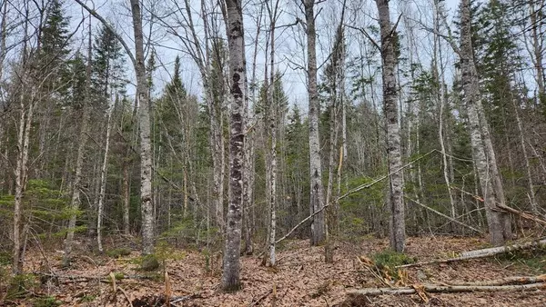 Mariaville, ME 04605,Lot 007 Old County RD