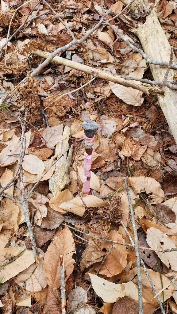 Mariaville, ME 04605,Lot 007 Old County RD