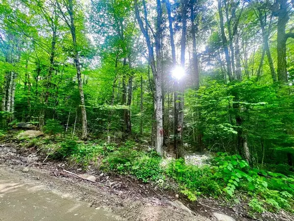 Sandy River Plt, ME 04970,M16 L17,18,19 Edelheid RD