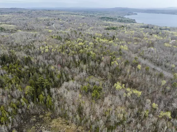 Frankfort, ME 04438,Map1Lot44 N. Searsport RD