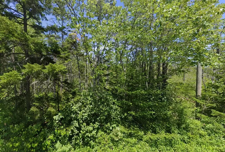 0 Flye Point RD, Brooklin, ME 04616
