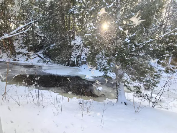 New Limerick, ME 04761,1555 County RD