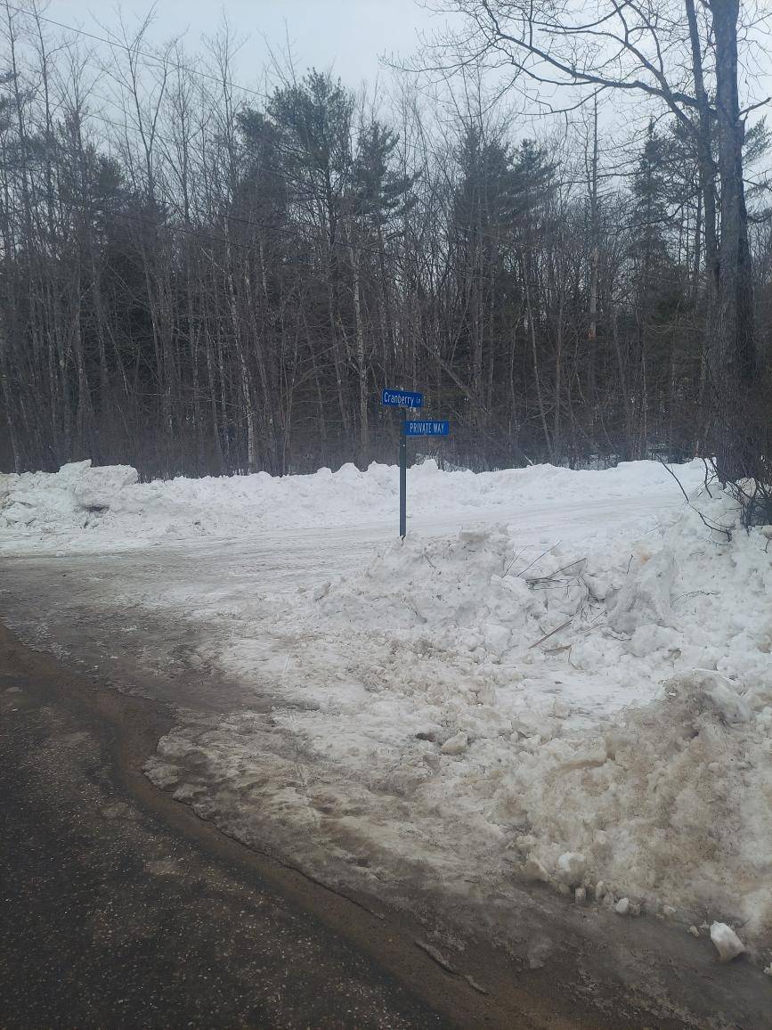 Greenwood, ME 04255,Lot # 17 Cranberry LN