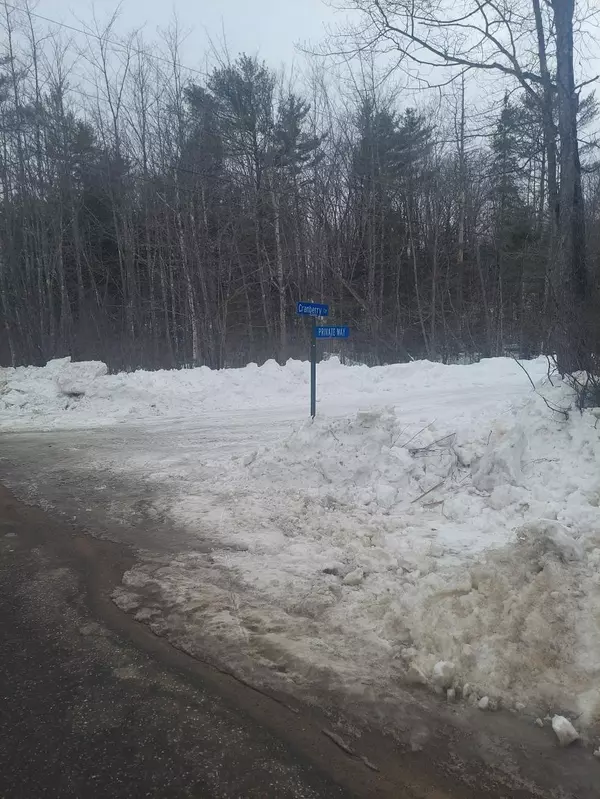Greenwood, ME 04255,Lot # 17 Cranberry LN
