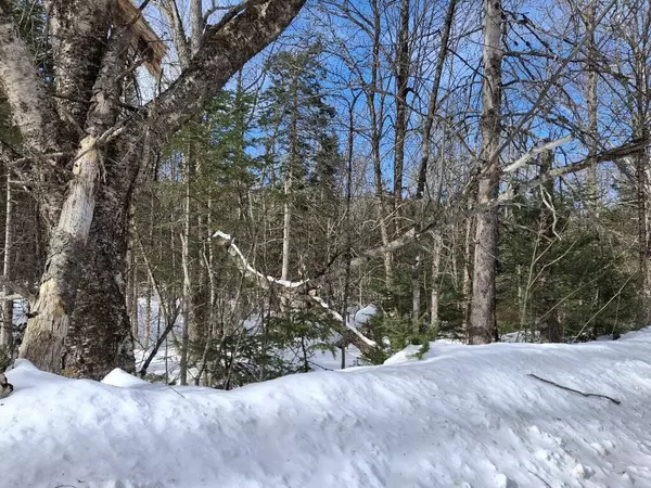 Wellington, ME 04942,15-02 Hutchins Corner RD