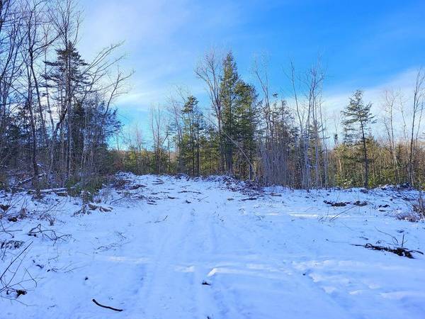 Lot 62.2 Reeds Mill RD, Madrid Twp, ME 04966