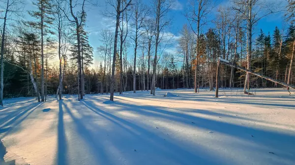 Rangeley, ME 04970,0 Allison DR