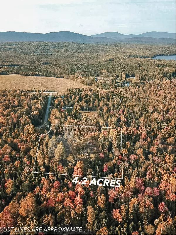 Rangeley, ME 04970,0 Allison DR