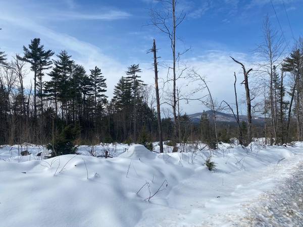 Lot 2 Chase RD, Parsonsfield, ME 04047