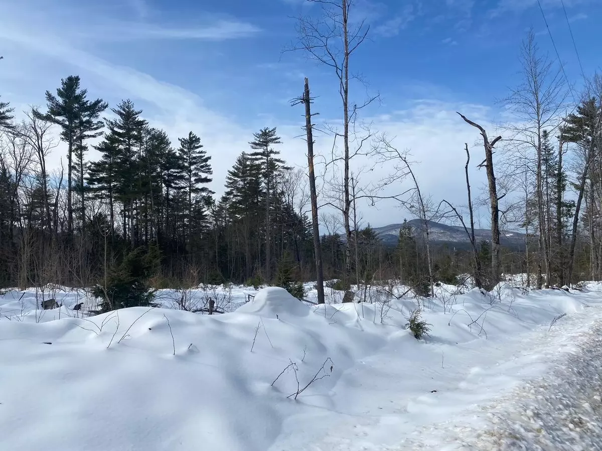 Parsonsfield, ME 04047,Lot 2 Chase RD