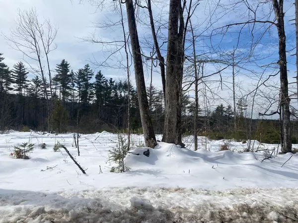 Parsonsfield, ME 04047,Lot 2 Chase RD