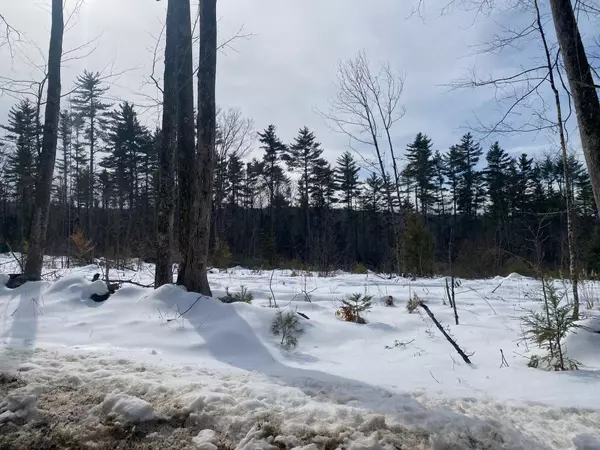 Parsonsfield, ME 04047,Lot 2 Chase RD