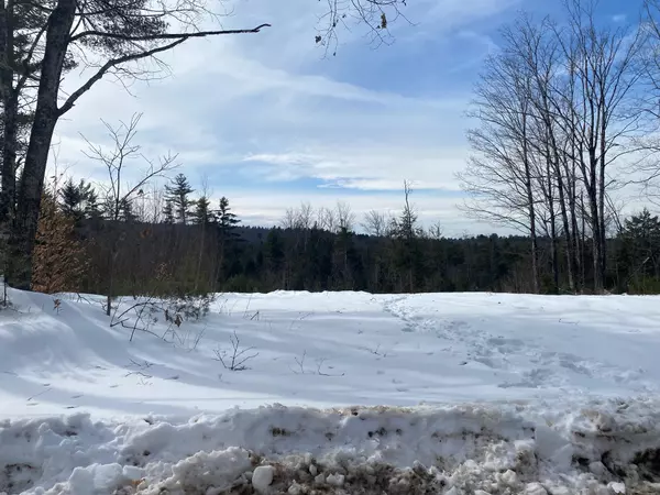 Parsonsfield, ME 04047,Lot 2 Chase RD
