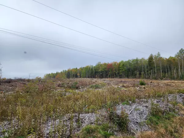 Charlotte, ME 04666,42 A Smith Ridge RD