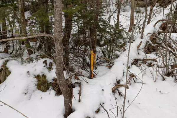 Lamoine, ME 04605,Lot 12 Kennel Brook DR