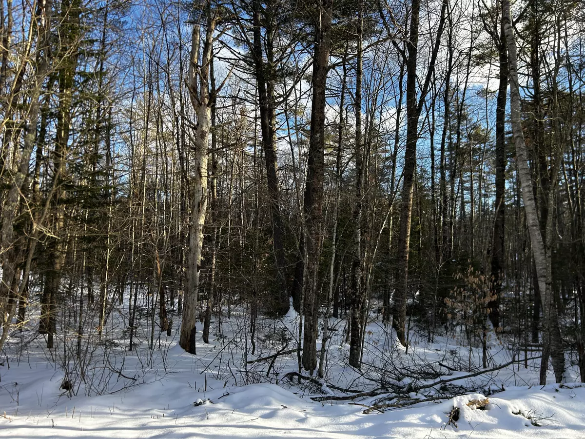 Limerick, ME 04048,Lot 224 Clearview DR